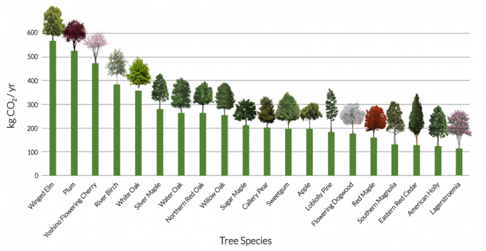 Carbon Dioxide Sequestered in Trees Local to Baltimore, MD Per Year. From documentation by Aziz, Cheikhali and Kadam.