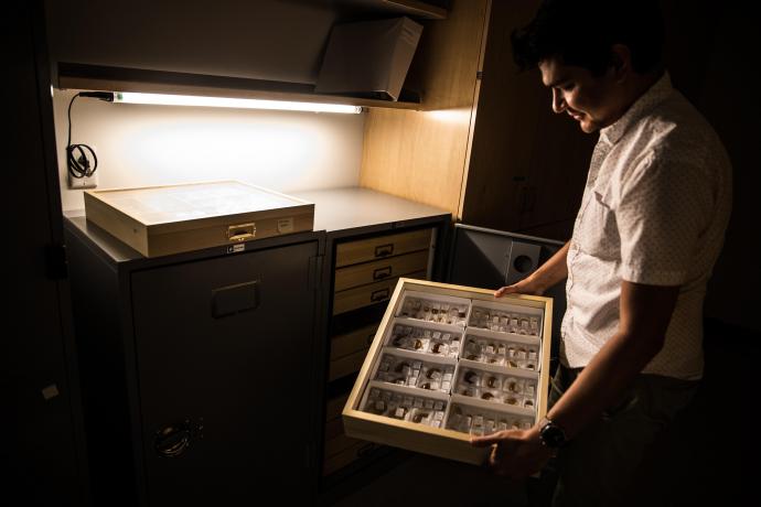 Barden showcases collections of prehistoric ant fossils from the Dominican Republic currently stored at his lab inside NJIT’s Central King Building.