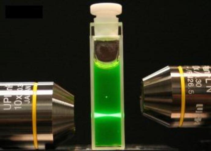 Fluorescents used to track cell growth.