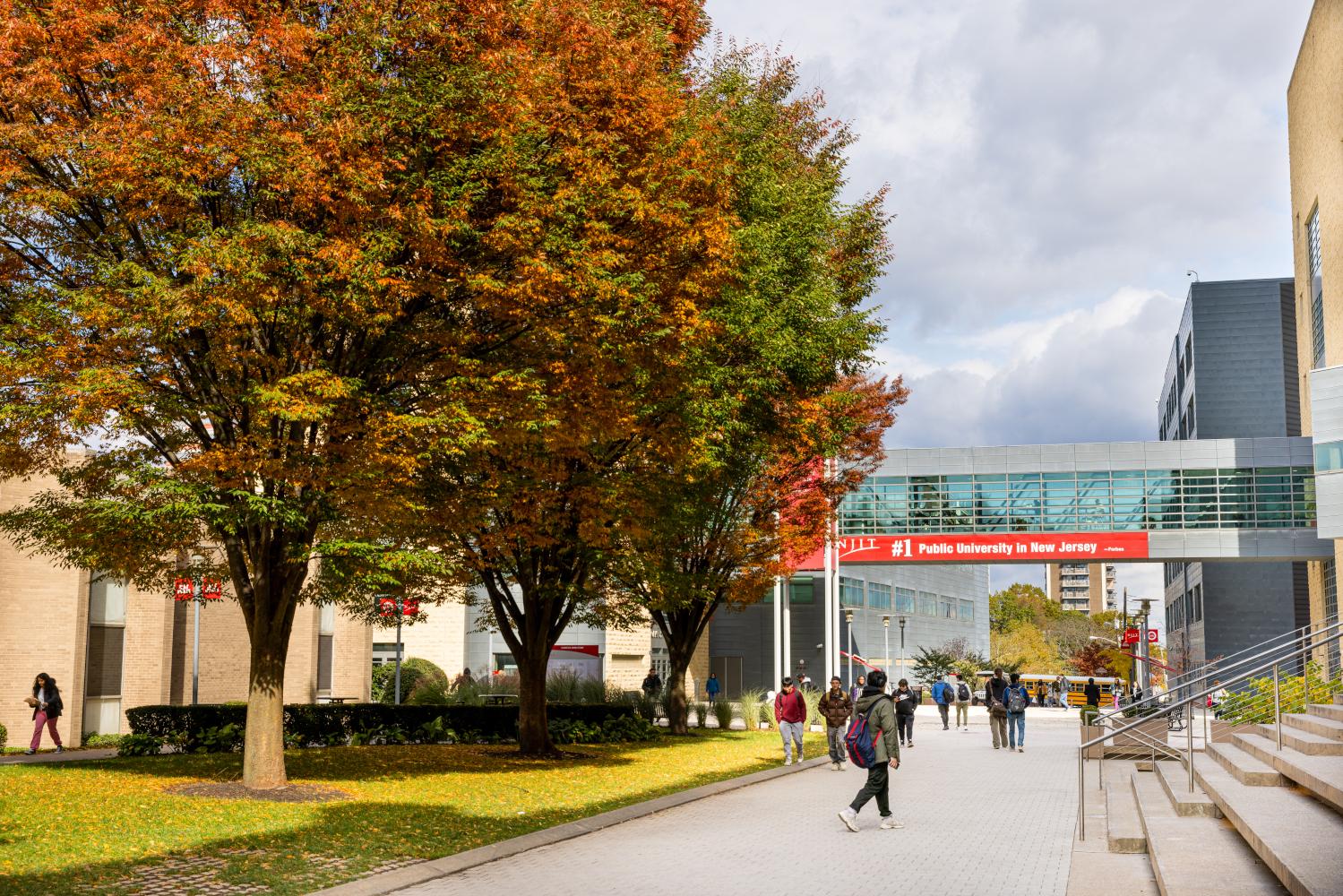 NJIT Top 50 Nationally in Undergrad, Grad Entrepreneur Studies