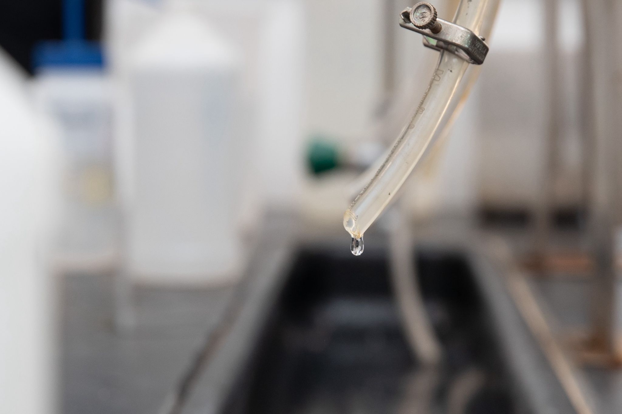 Water droplet