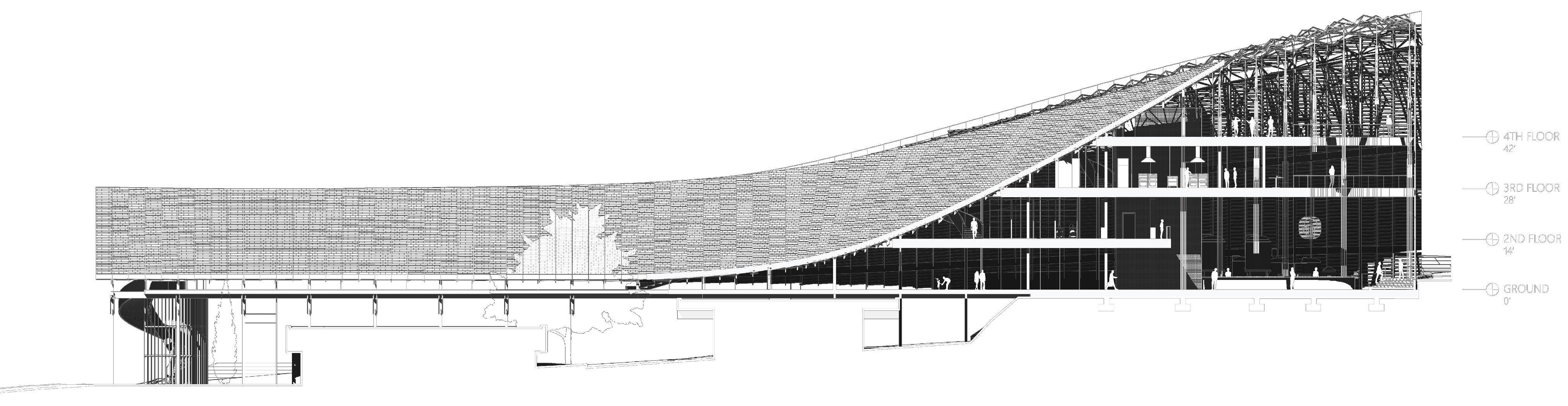 Pine Hill Section by ZhongMing Peter Zhang and Peter Koczarski