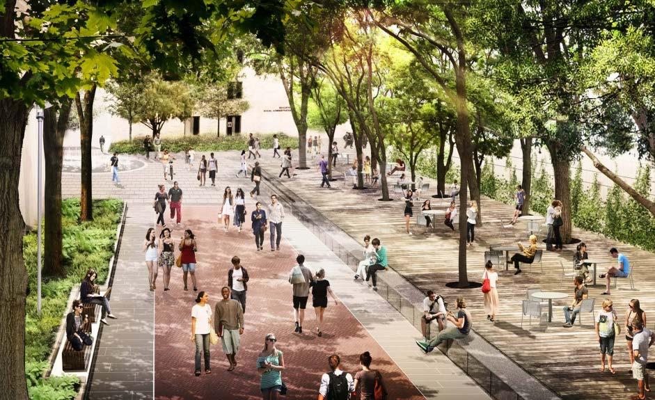 Visualization of tree lined corridor based on University of Pennsylvania’s Lotus Walk