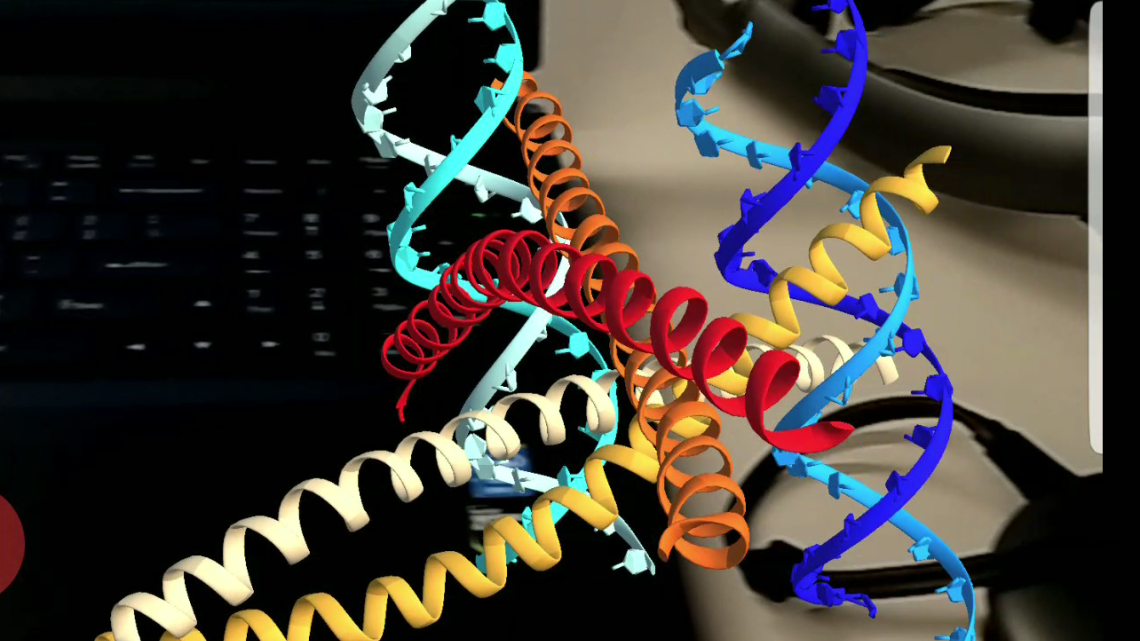 Nisha Mistry AR visualization