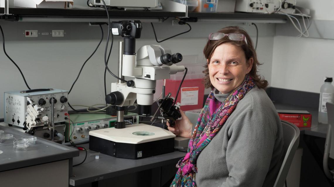 Assistant Professor Daphne Soares in her Central King Building lab