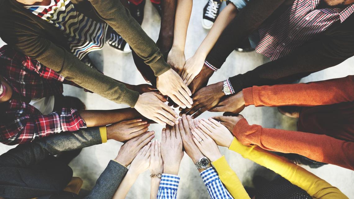 Diverse Hands image