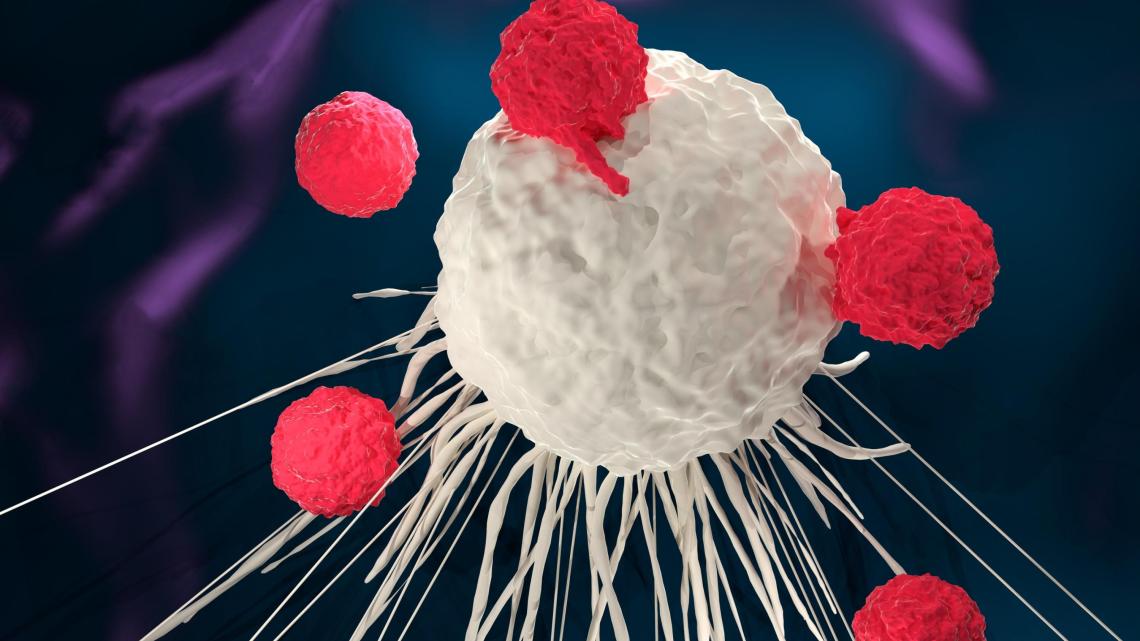 T cells attacking a cancer cell