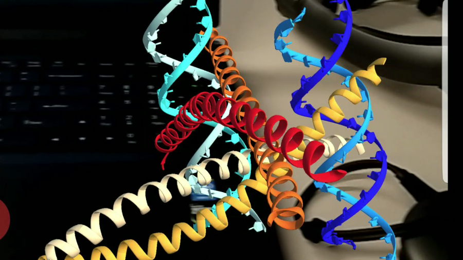 Nisha Mistry AR visualization