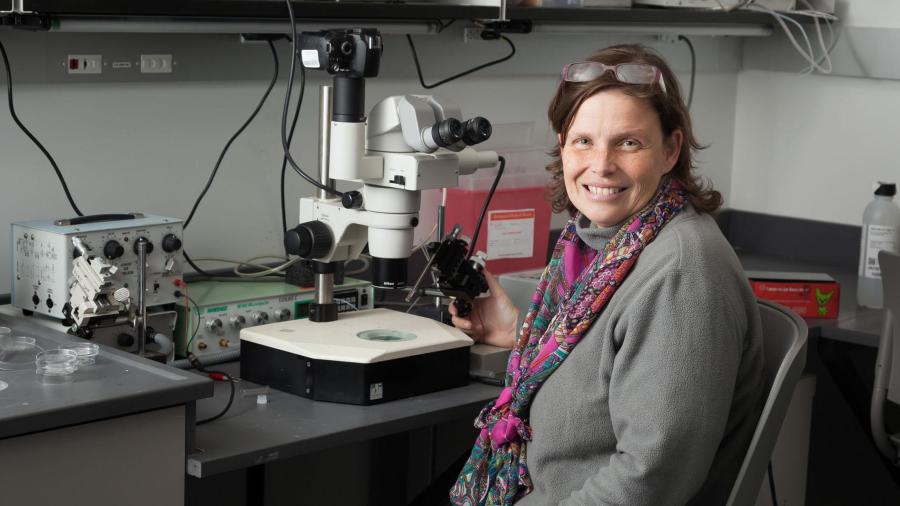 Assistant Professor Daphne Soares in her Central King Building lab