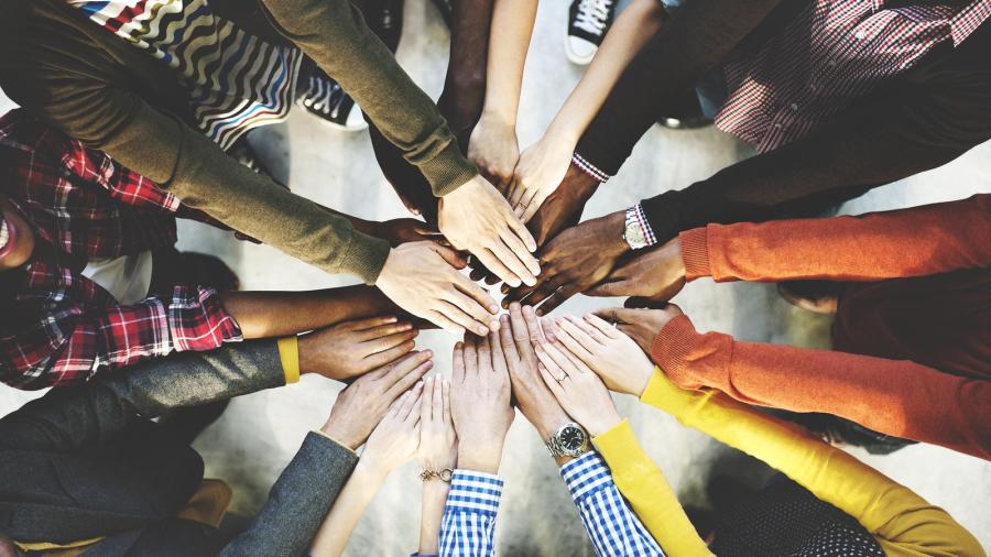 Diverse Hands image