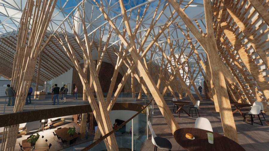Pine Hill by ZhongMing Peter Zhang and Peter Koczarski