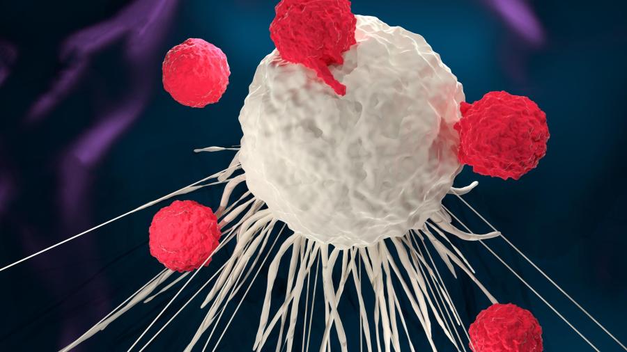 T cells attacking a cancer cell