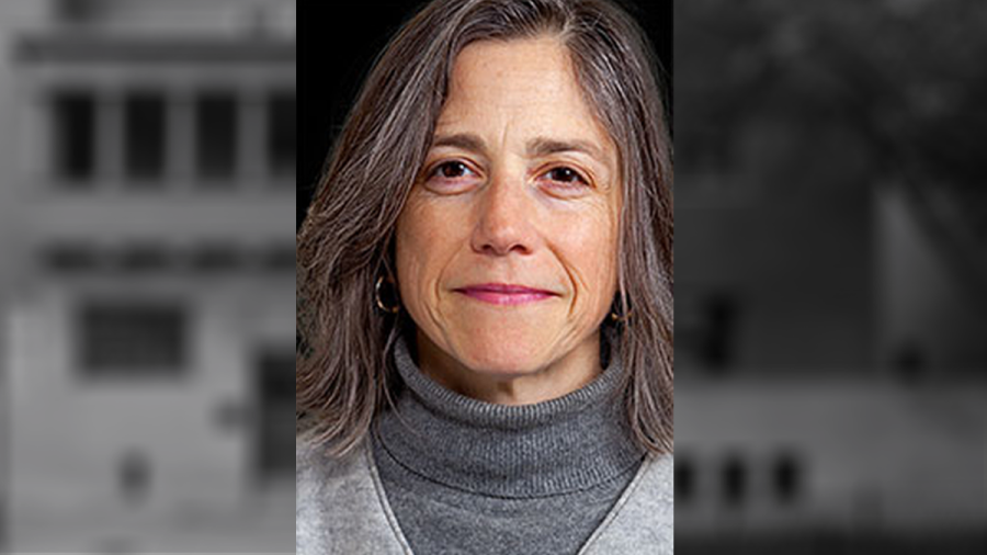 Gabrielle Esperdy, Professor, Hillier College 