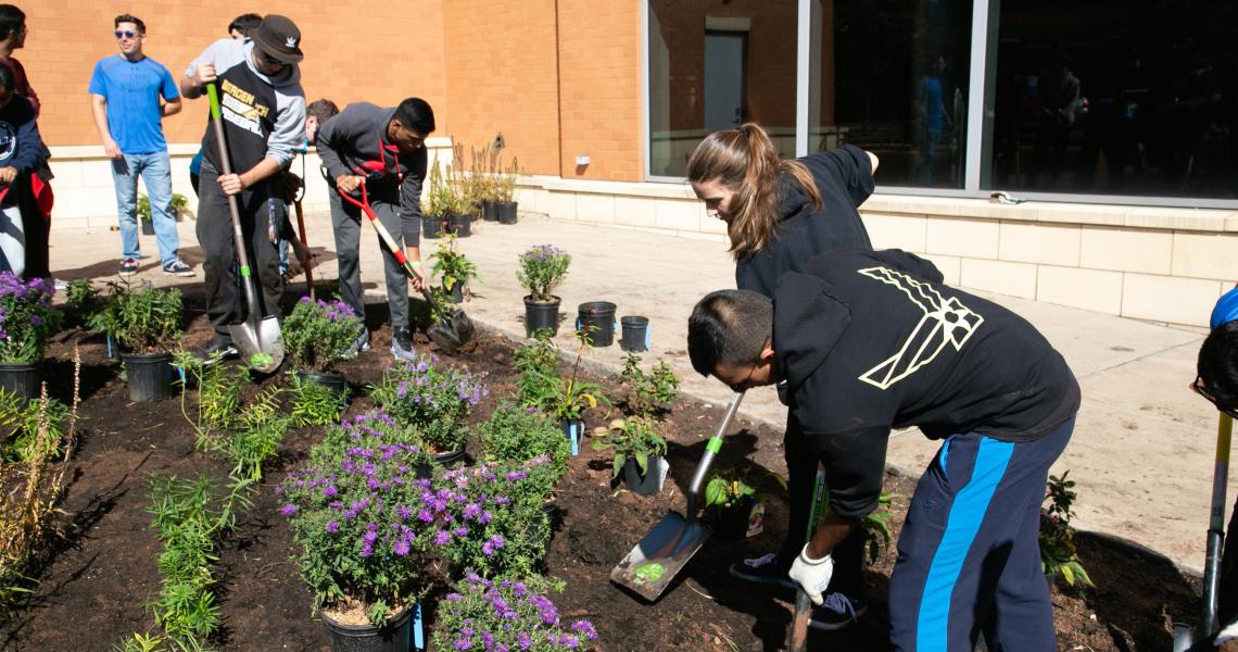 Honors students participate in planting project to increase biodiversity on campus.