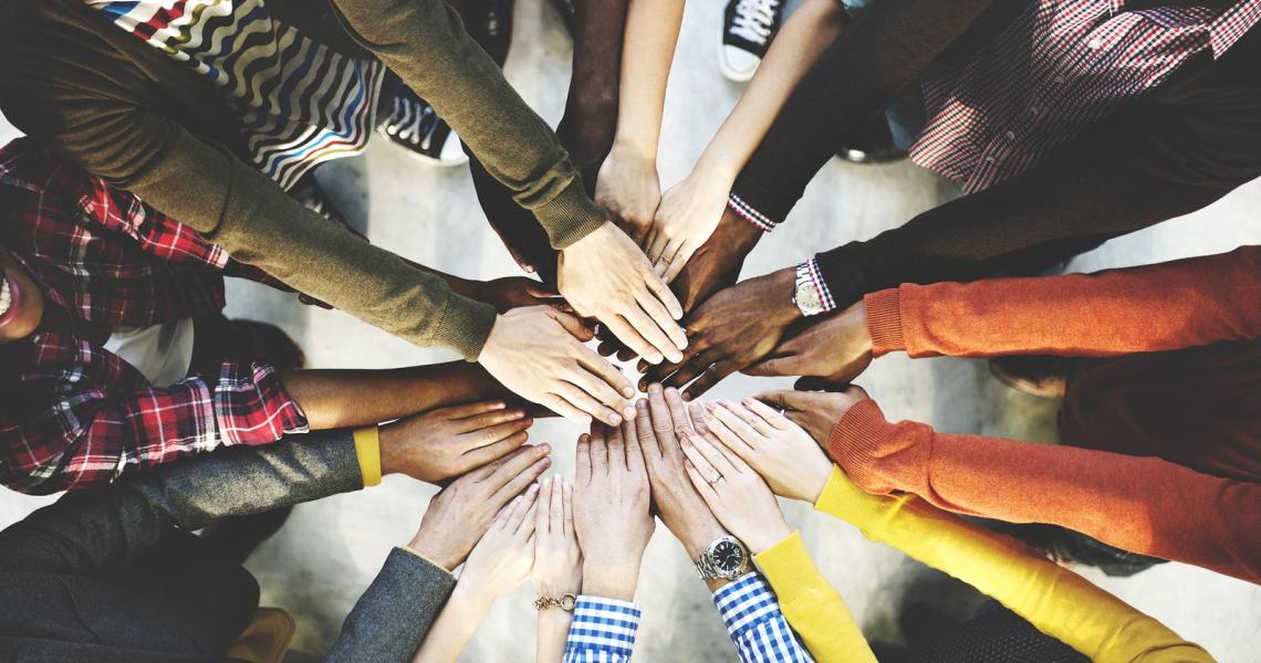 Diverse Hands image