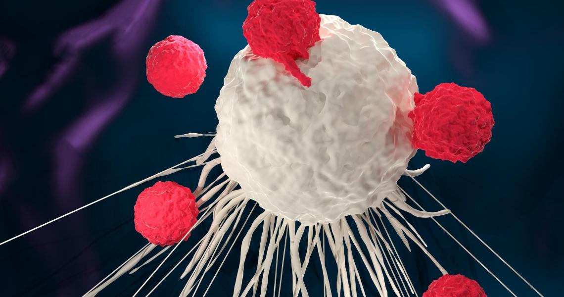 T cells attacking a cancer cell