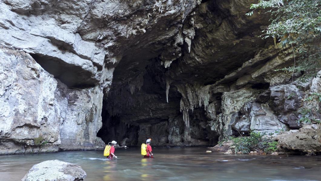 Researchers at the mouth of Brazil's São Vicente Cave system. Credit: Adriano Gambarini 