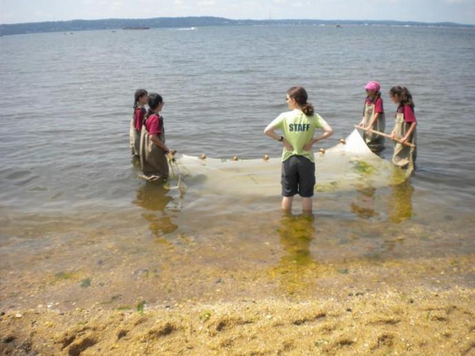 Two of the FEMME programs – (Top) FEMME7 students test acids and bases. (Bottom) FEMME4 participants catch samples of ocean lift at Sandy Hook. 