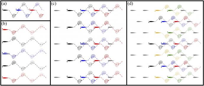 Comparison of school formations and fluid flows examined by the team's model: (a) in-line formation; (b) phalanx; (c) rectangular lattice; (d) diamond lattice. (Credit: NJIT)