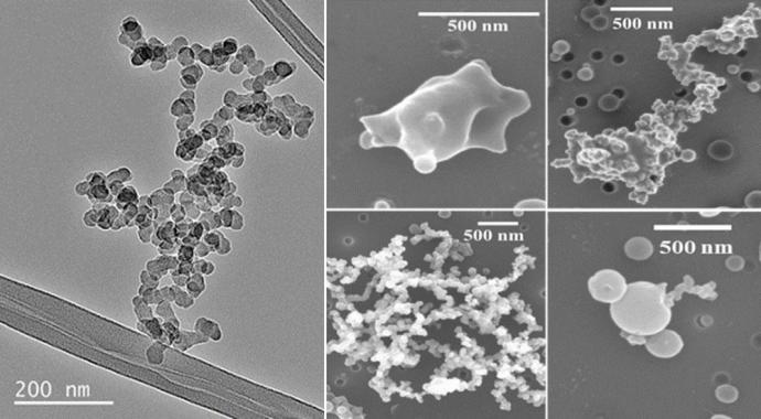 Scanning electron microscope images of an uncoated soot particle (left) revealing the aggregate structure made up of many tiny spheres, and four different coated soot particles (right) showing variations in coating thickness. Credit: BNL 
