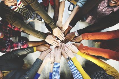 Diverse Hands image