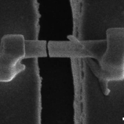 Why\u0020Do\u0020Lithium\u002Dion\u0020Batteries\u0020Fail\u003F\u0020Scientists\u0020Find\u0020Clues\u0020in\u0020Microscopic\u0020Metal\u0020\u0027Thorns\u0027
