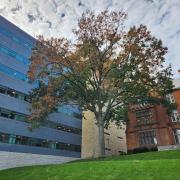State Funding 40-50 New Trees for NJIT Campus to Help the Environment