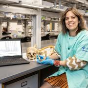 NJIT Forensic Anthropologist Investigates New Leads to Identify the Nameless
