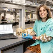 NJIT\u2019s\u0020Sara\u0020Zapico\u0020Named\u0020National\u0020Higher\u0020Education\u0020Forensic\u0020Science\u0020Educator\u0020of\u0020the\u0020Year