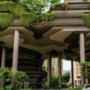 Urban Gardens Workshop at NJIT Advances Sustainability and Food Security