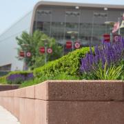 Flowers in front of WEC