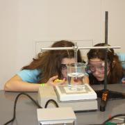 Middle schoolers observe the dissolving of a lollipop for the Olympiad's Experimental Design activity.
