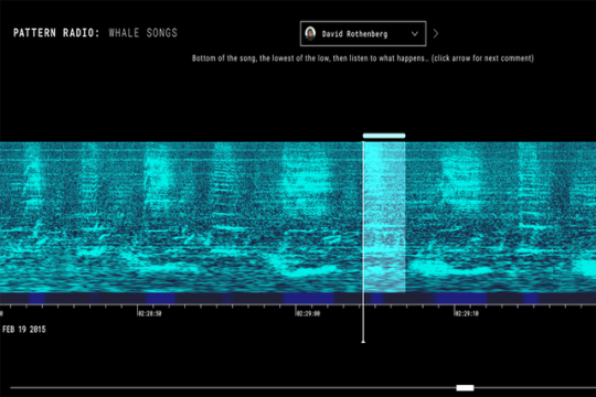 Pattern Radio